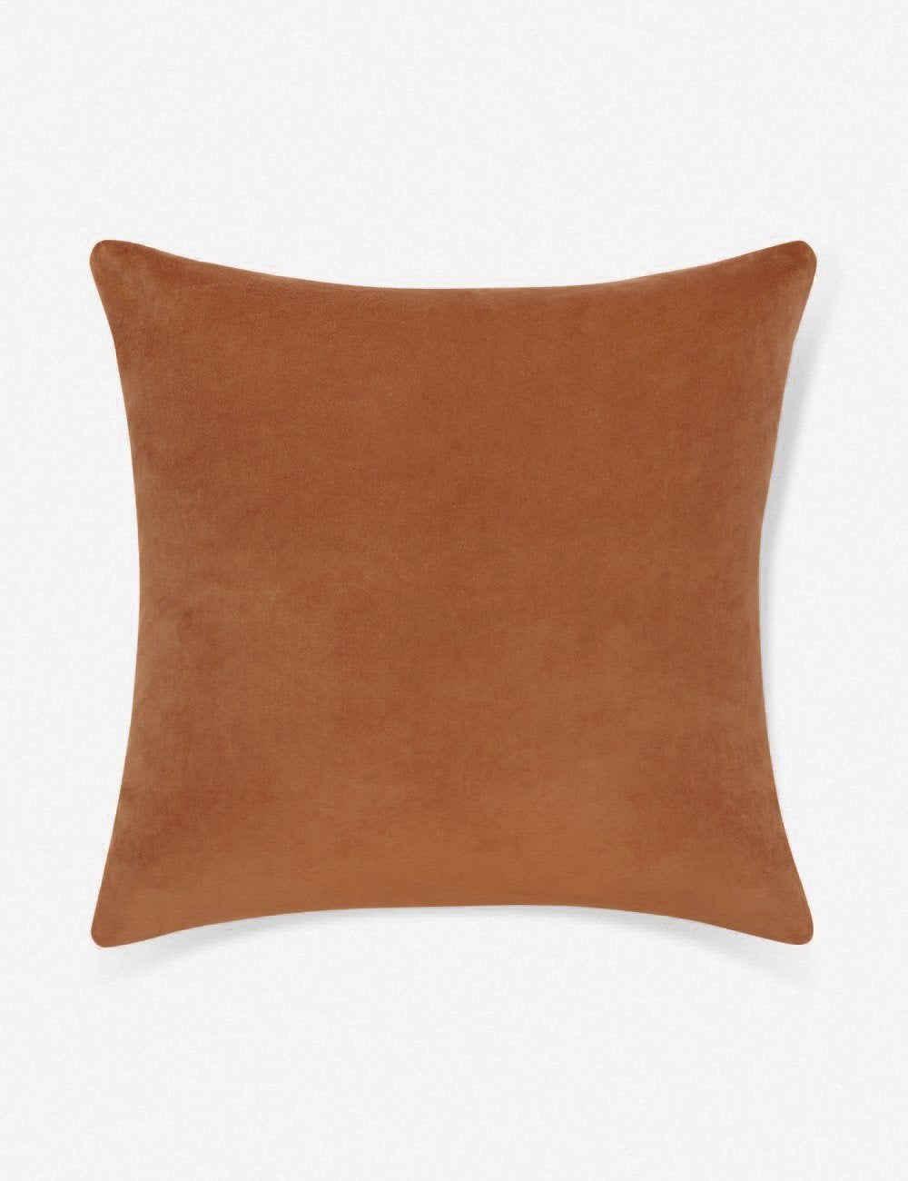 Charlotte Velvet Pillow - Soft Luxury Decorative Throw Pillow for Sofa, Bed & Couch - Perfect for Living Room, Bedroom & Home Decor