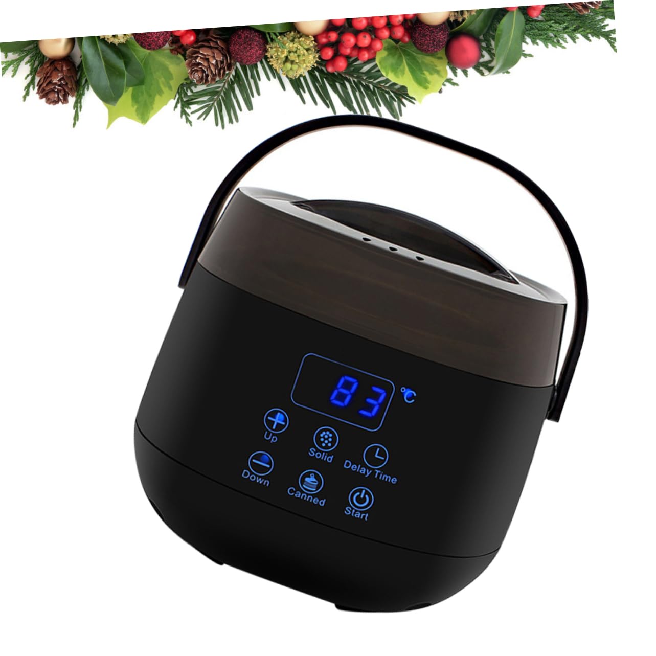 NOLITOY Professional Wax Warmer Machine for Hair & Body - Black Wax Heater for Smooth Wax Removal - Perfect for Salon, Spa & Home Use