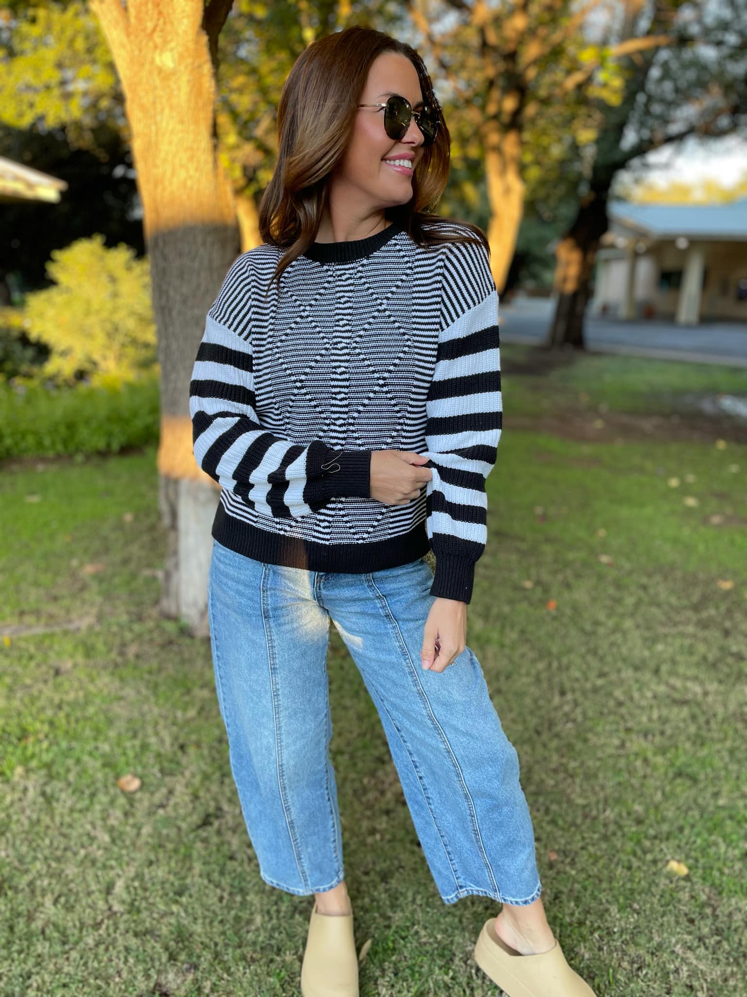 PREORDER: Aspen Striped Sleeve Sweater - 4 Color Options for Women | Cozy Fall & Winter Fashion | Perfect for Casual Outings & Office Wear