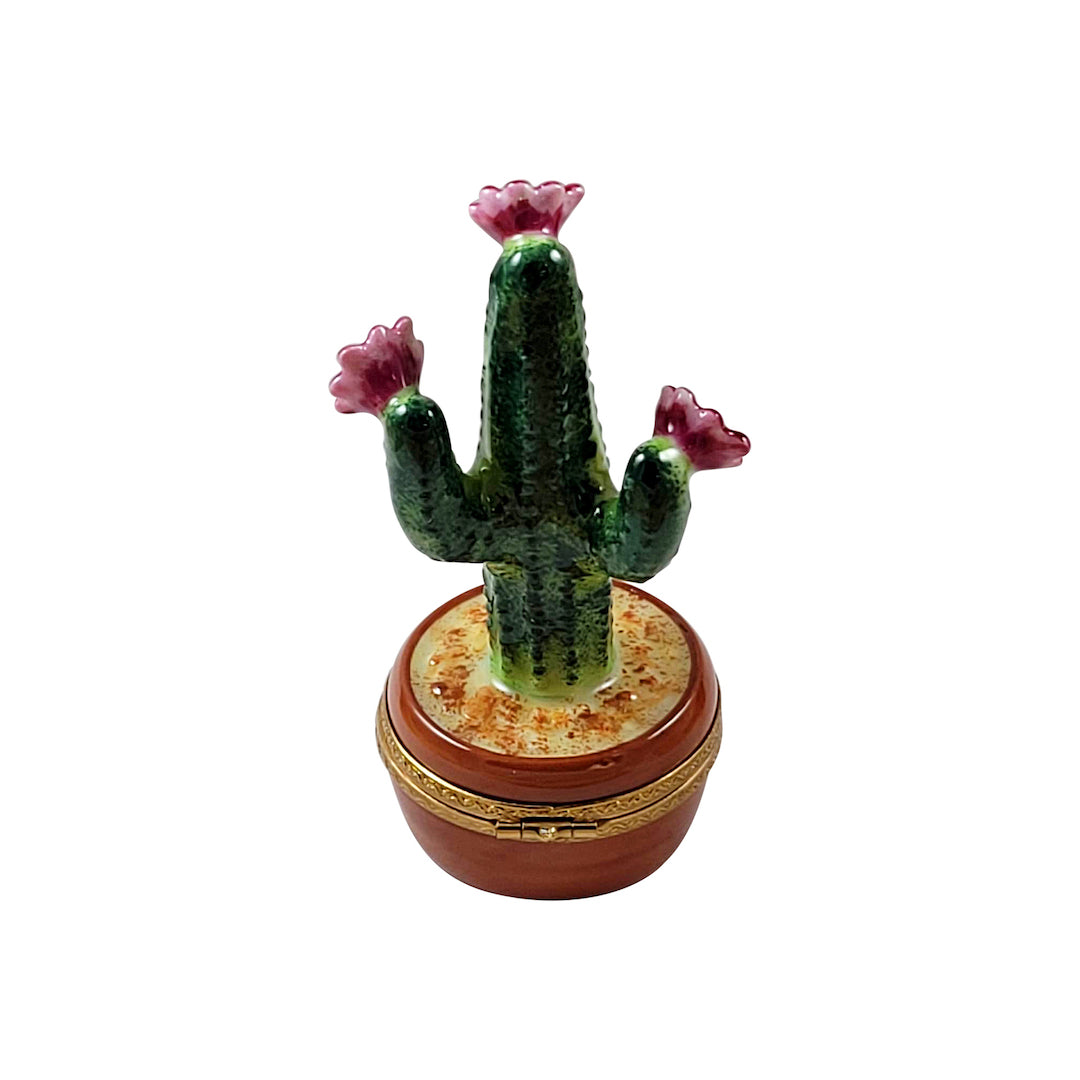Exquisite Limoges Porcelain Flowering Cactus Trinket Box - Hand-Painted Collectible for Home Decor, Gift & Jewelry Storage | Perfect for Valentine's Day, Mother's Day & Housewarming Gifts