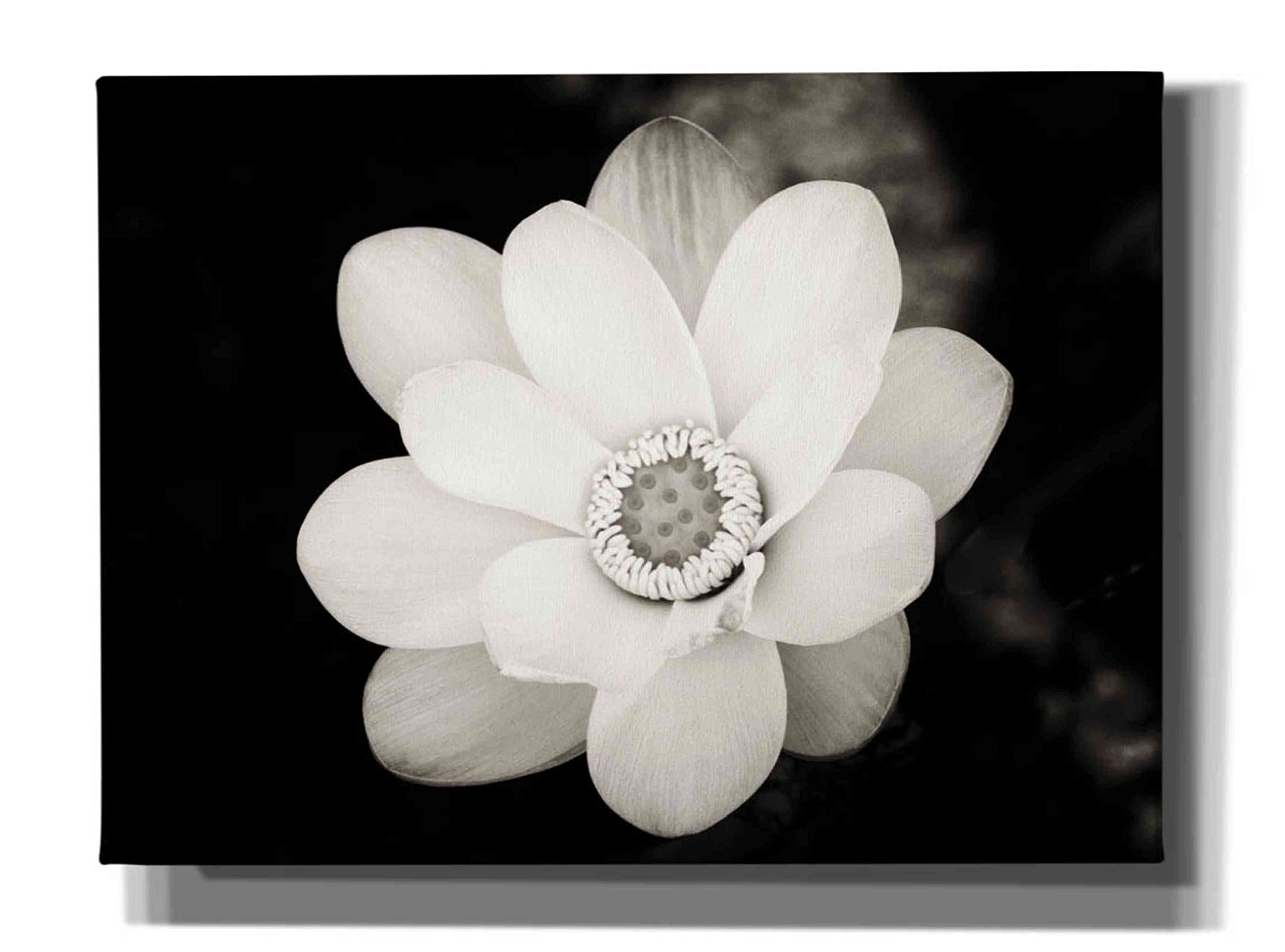 Epic Graffiti 'Lotus Flower III' by Debra Van Swearingen - Large 54x40 Inch Canvas Wall Art for Living Room, Bedroom & Office Decor - Modern Abstract Floral Painting for Home & Commercial Spaces