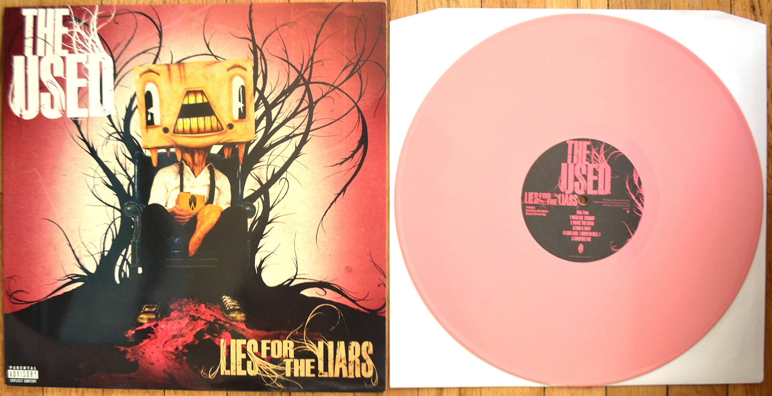 Lies for the Liars [Explicit Lyrics Vinyl LP] - Perfect for Rock Music Collectors & Vinyl Enthusiasts