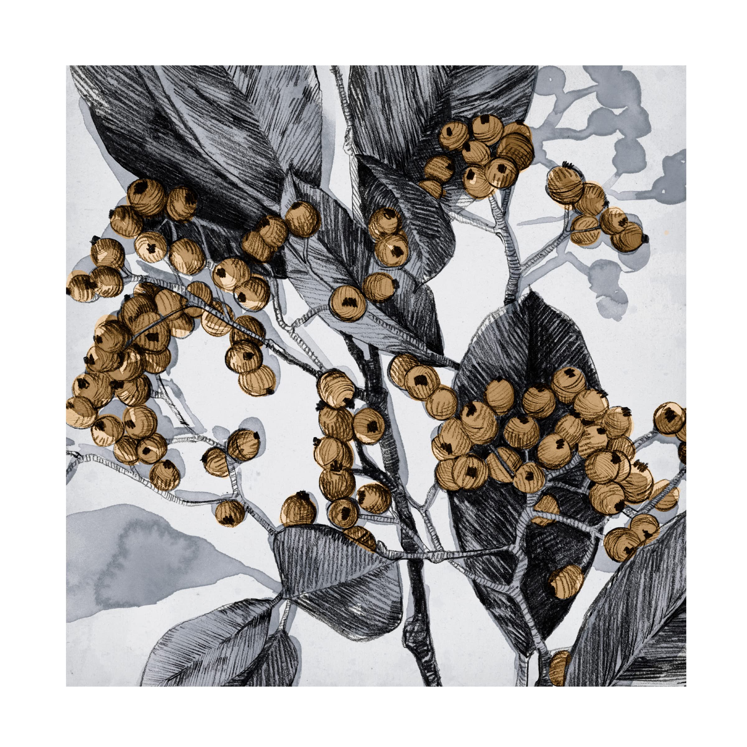 Emma Caroline 'Holly Shadow II' Canvas Wall Art - 35x35 Inches, Modern Abstract Painting for Living Room, Bedroom & Office Decor | Trademark Fine Art