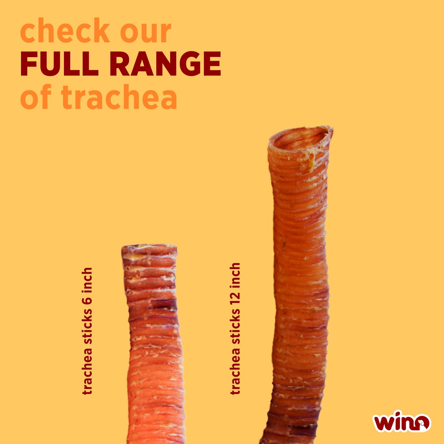 Premium Bully Sticks for Dogs - 5 Pack of 4 Inch All-Natural Beef Chews | 100% Digestible, Odor-Free, High Protein Dog Treats | Supports Dental Health & Reduces Destructive Chewing | Perfect for Training Rewards, Teething Puppies & Anxious Dogs