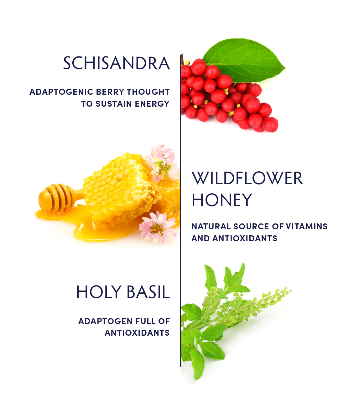 Naturopathica Schisandra Adaptogenic Honey - Organic Herbal Supplement for Stress Relief & Immune Support - Perfect for Daily Wellness & Natural Energy Boost
