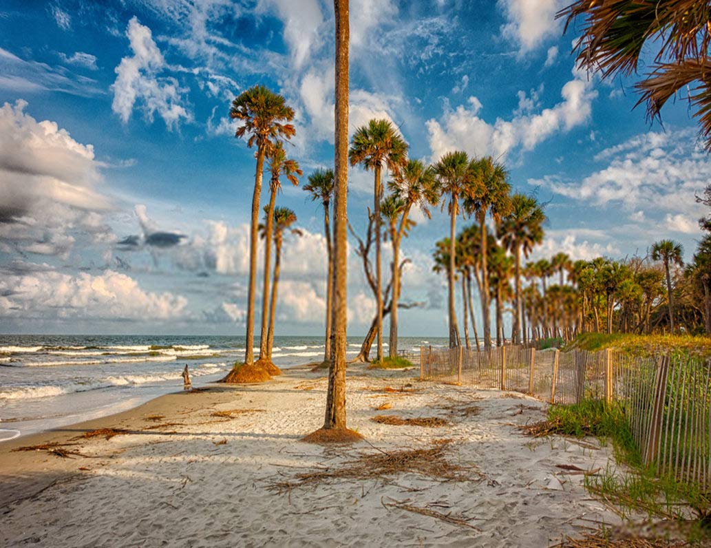 5D DIY Diamond Painting Kit - Hunting Island South Carolina Beach Scenes, Full Drill Art Craft Canvas for Home Wall Decor, Cross Stitch Gift (14x20 Inch) - Perfect for Relaxation, Stress Relief & Creative Home Decoration