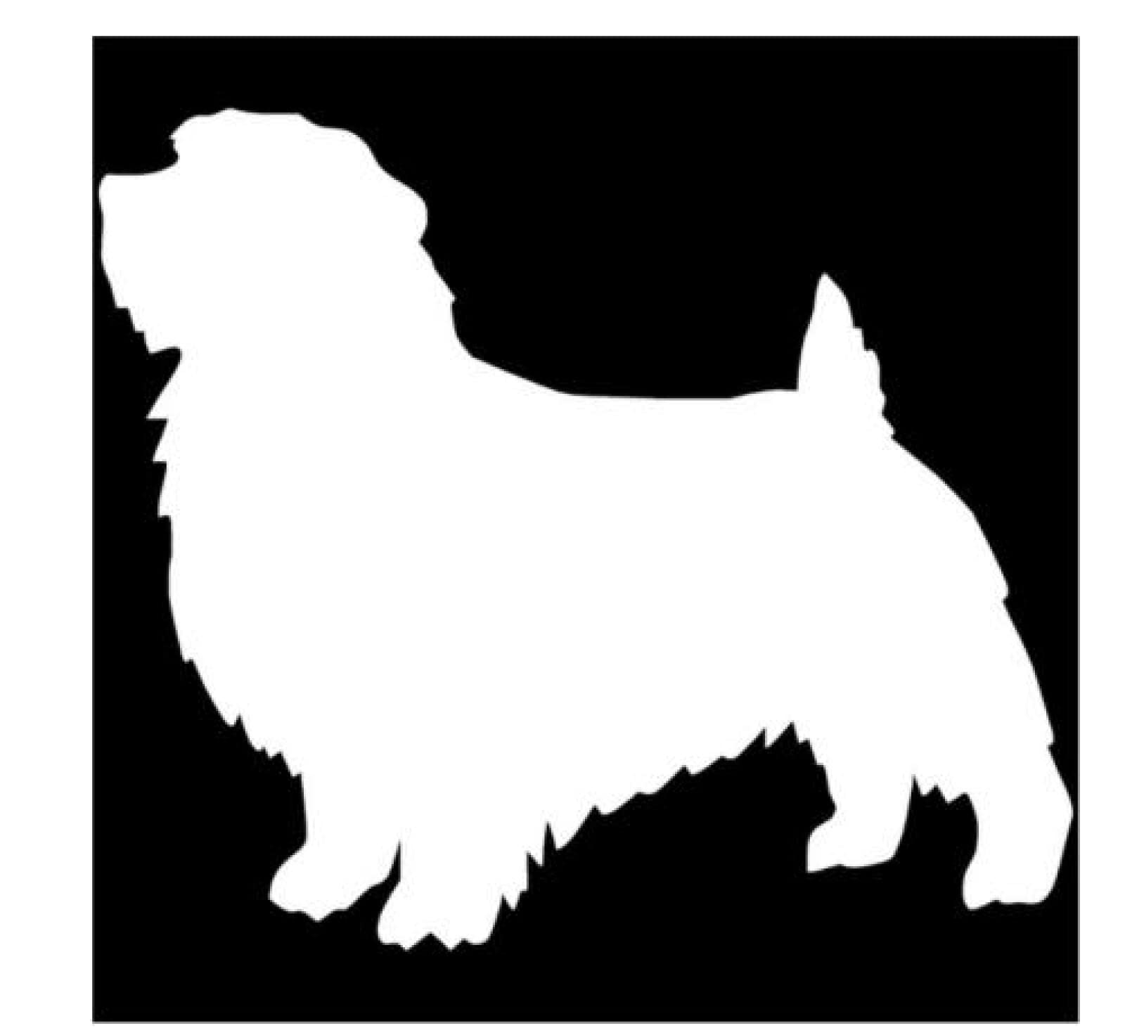 Funny Norfolk Terrier Dog Car Decal Sticker - 23.5x20.3cm Cute Cartoon Animal Vinyl Sticker for Car Window, Laptop, Water Bottle - Scratch-Resistant Fashion Decoration for Vehicle & Personal Items
