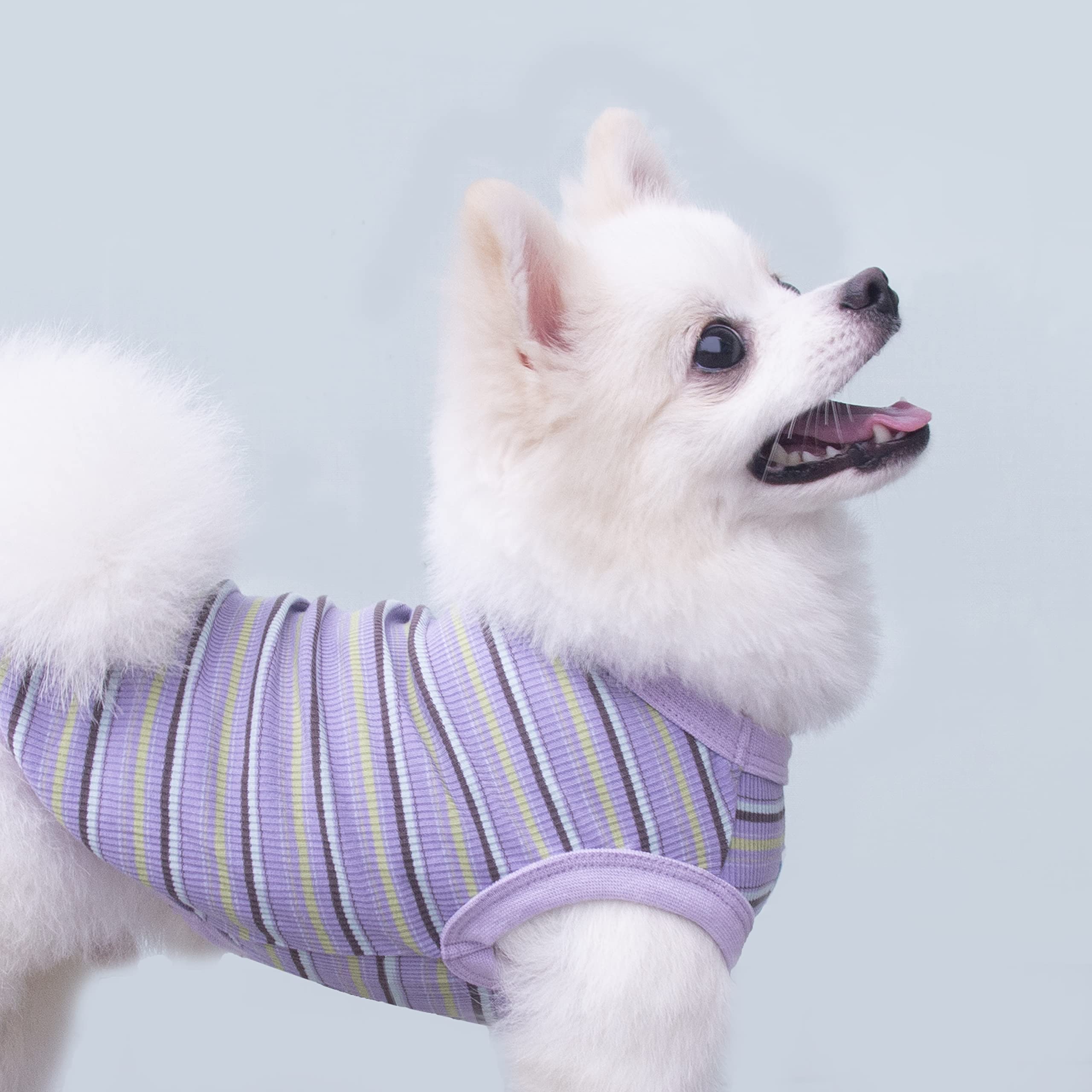 Striped Pet Dog T-Shirts - 100% Cotton Sleeveless Tank Vest for Small Dogs & Cats | Chihuahua, Yorkie Puppy Clothes in X-Small (Purple) | Perfect for Summer Walks, Indoor Play & Pet Fashion