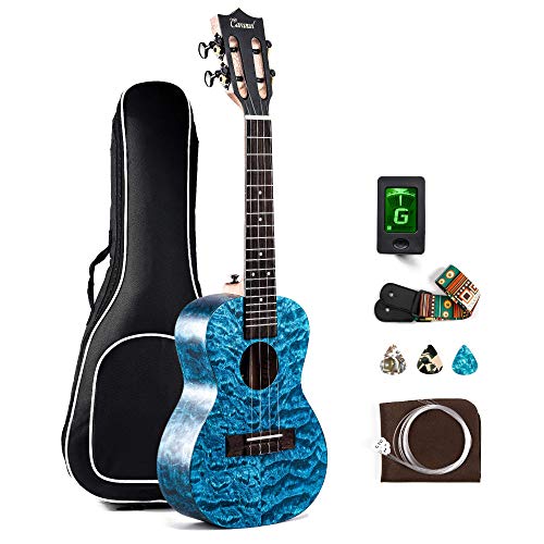 Blue Acoustic Concert