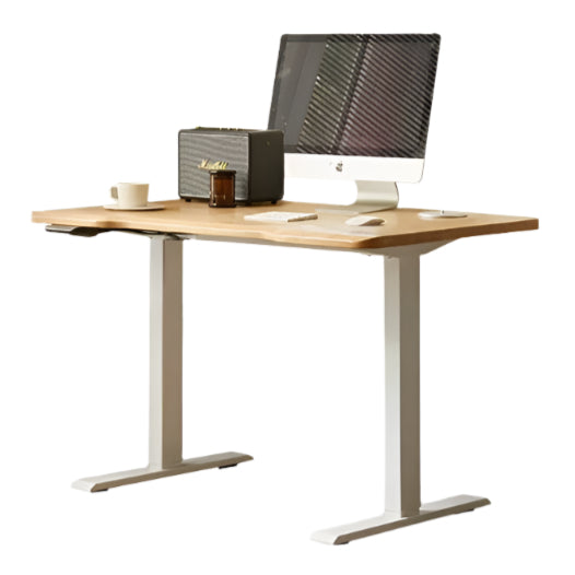 Premium Oak Solid Wood Electric Height Adjustable Standing Desk - Ergonomic Home Office Workstation for Computer & Laptop Use
