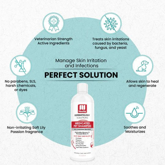 Antimicrobial Medicated Shampoo for Dogs & Cats - Soothes Skin Irritations & Kills Bacteria - Ideal for Pets with Allergies, Hot Spots & Fungal Infections - Perfect for Bath Time & Veterinary Care