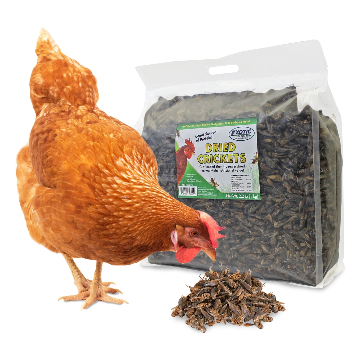 Premium Bulk Dried Insect Trio - High Protein Mealworms, Crickets & Grasshoppers for Reptiles, Birds & Fishing Bait | Natural Pet Food & Outdoor Adventure Supplies