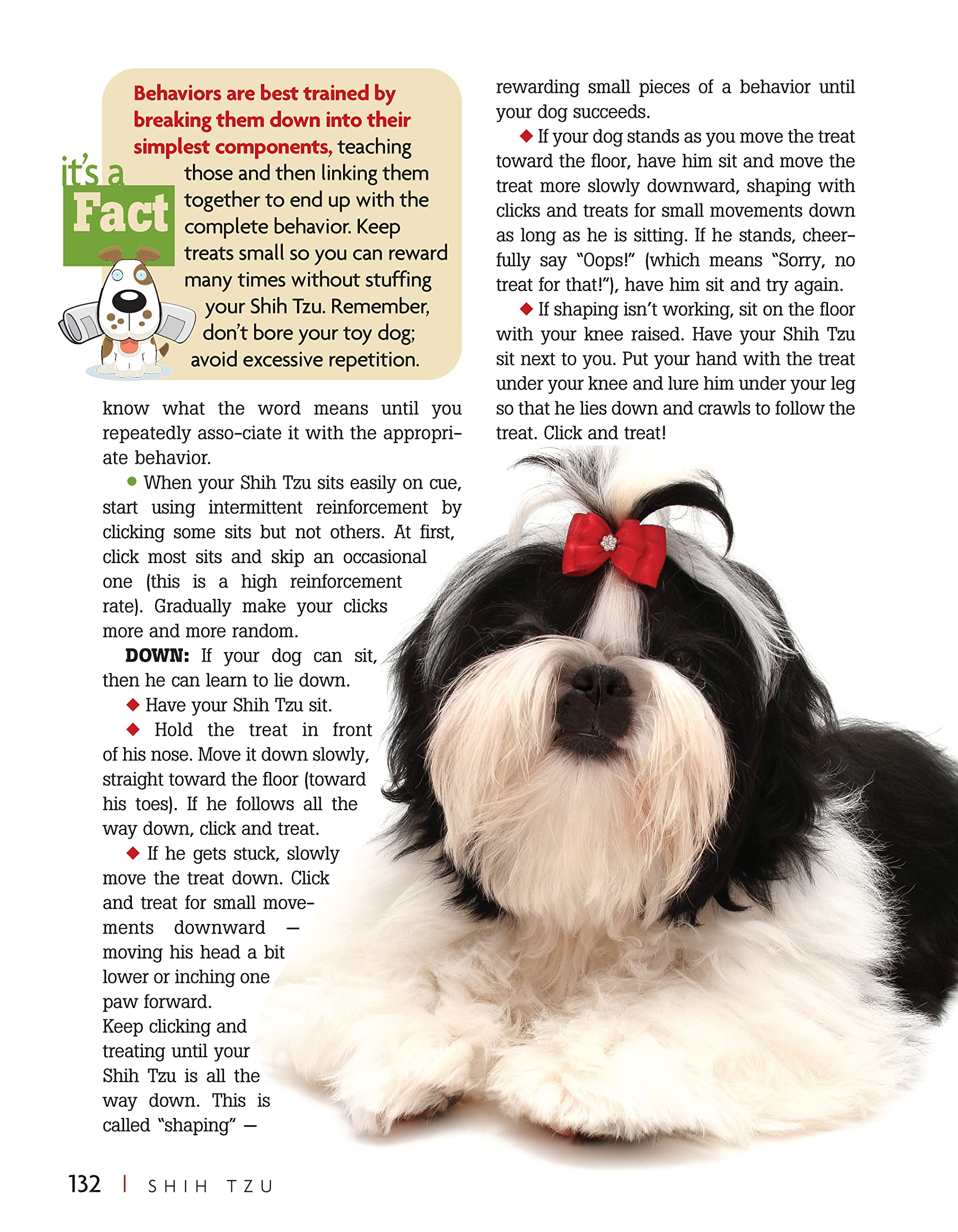 Shih Tzu Dog Breed Guide - Smart Owner's Companion Book for Training & Care | Perfect for New Pet Owners & Dog Lovers
