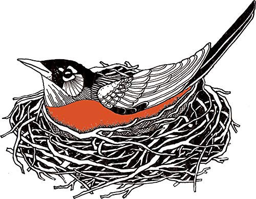 Robin Redbreast Nest Car Sticker 5x4
