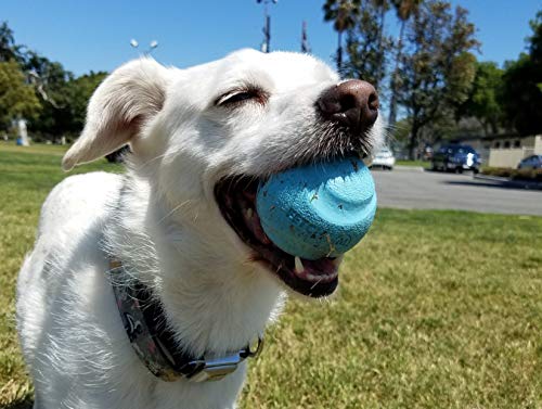 Chuckit Gen 1 Fetch Pack Dog Balls - Interactive Dog Toys for Training & Play, High-Bounce Fetch Ball with Floating Ultra & Rugged Design, Durable Medium Size 2.5-inch Diameter (Set of 3) - Perfect for Beach, Park & Backyard Fetch Games