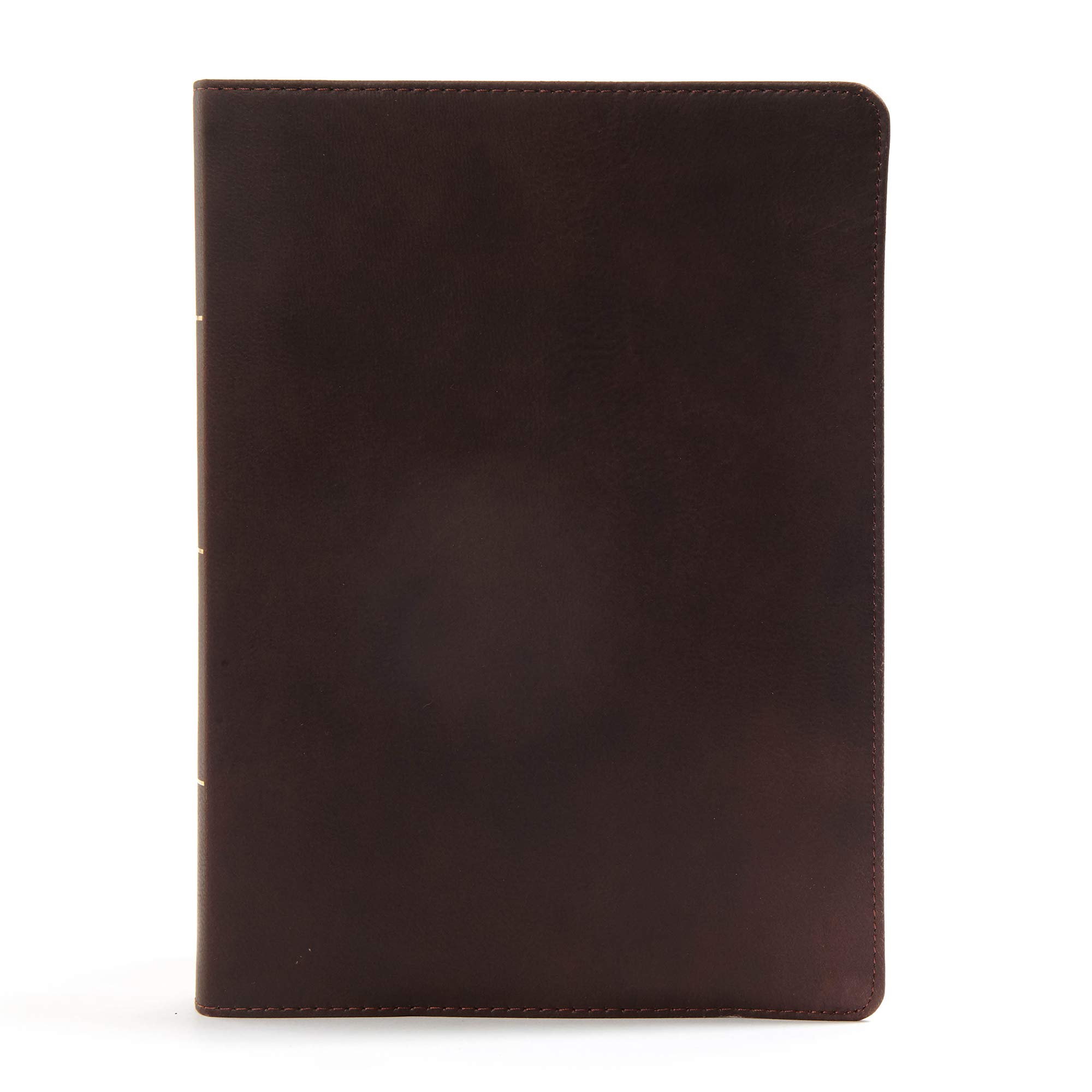 CSB Worldview Study Bible - Brown Genuine Leather Cover, ESV Translation | Perfect for Bible Study, Church Services & Personal Devotion