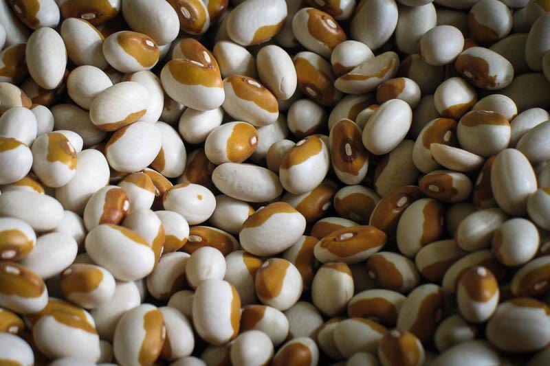 Organic Rancho Gordo Yellow Eye Beans 1 lb | Heirloom Dried Beans | High Protein & Fiber | Perfect for Soups, Stews & Chili Recipes