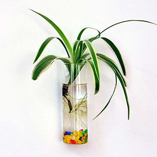 Handmade Hanging Flower Basket - 25cm High Pot-Grown Decorative Vase for Indoor/Outdoor Plants - Perfect for Balcony, Patio & Garden Decor