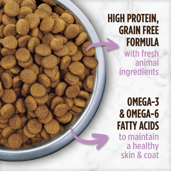 Nutrience Grain-Free Pork, Lamb & Duck Dry Dog Food - 10kg Bag | High-Protein Natural Recipe for Adult Dogs | Perfect for Sensitive Stomachs & Active Pets