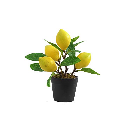 Lemon-small