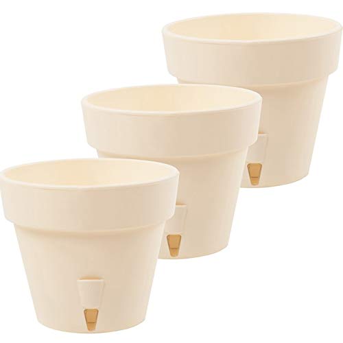 Cream - Set of 3