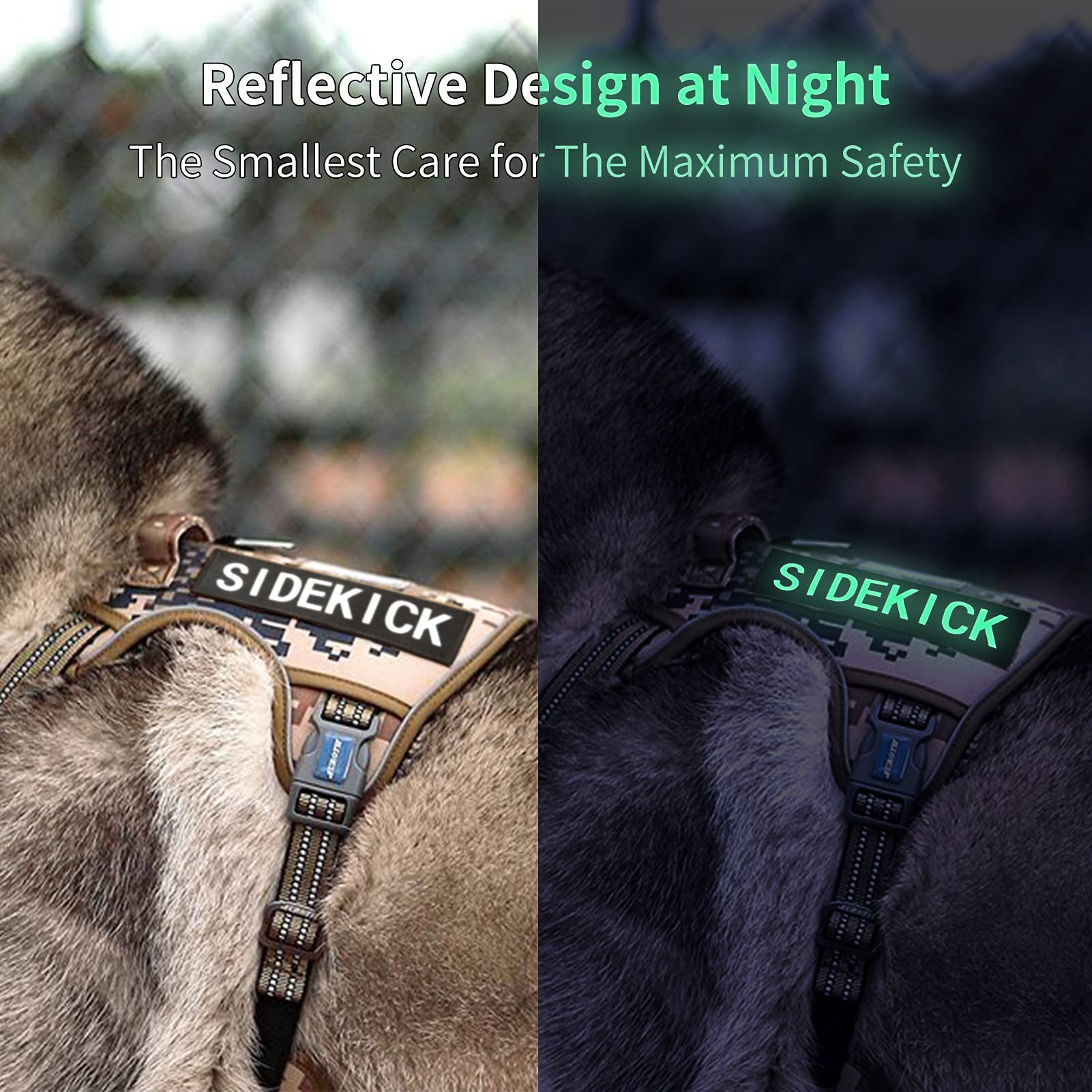 AUROTH 8-Piece Glow in The Dark Dog Patches with Hook Backing - Personalized Pet Vest Patches for Harnesses, Carriers & Training Vests (Size L) - Perfect for Night Walks, Dog Shows & Identification