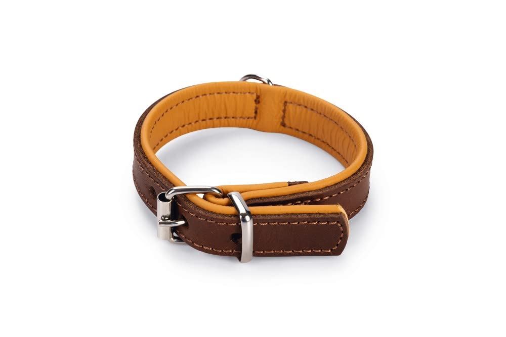 Rondo Collar Lined Stitched Dog Collar - Durable Nylon Pet Collar with Adjustable Buckle for Small Medium Large Dogs - Perfect for Walking, Training and Outdoor Adventures