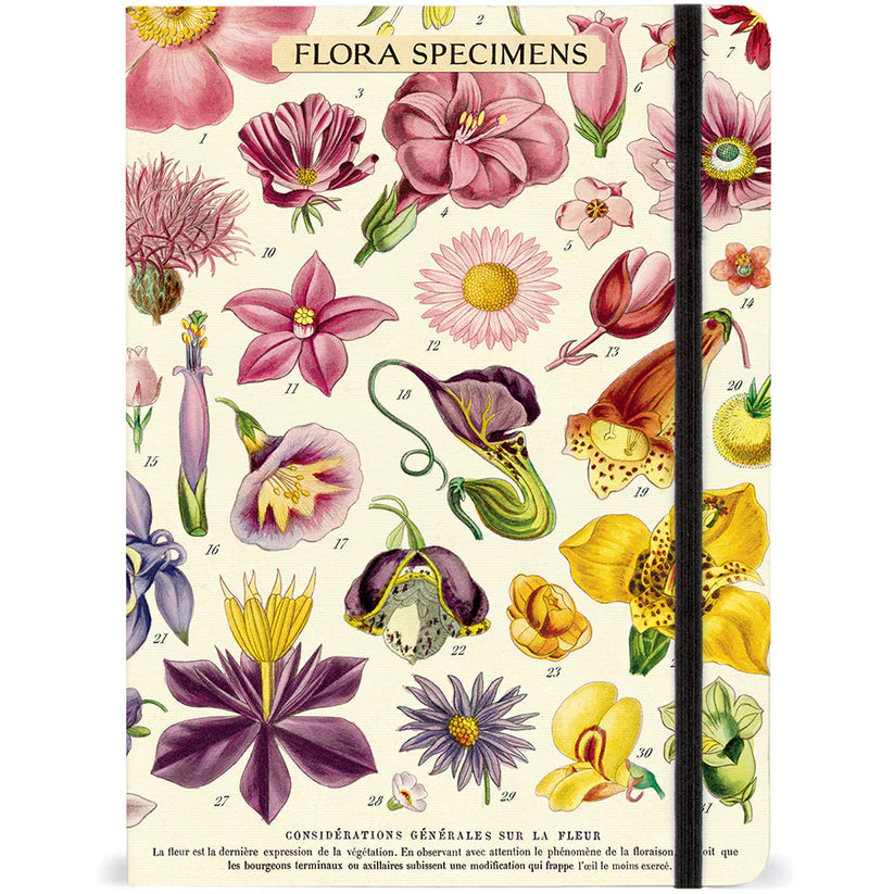 Cavallini & Co. Large Notebook - Vintage Flora Specimens Journal for Writing, Sketching & Note Taking - Perfect for Artists, Students & Nature Lovers