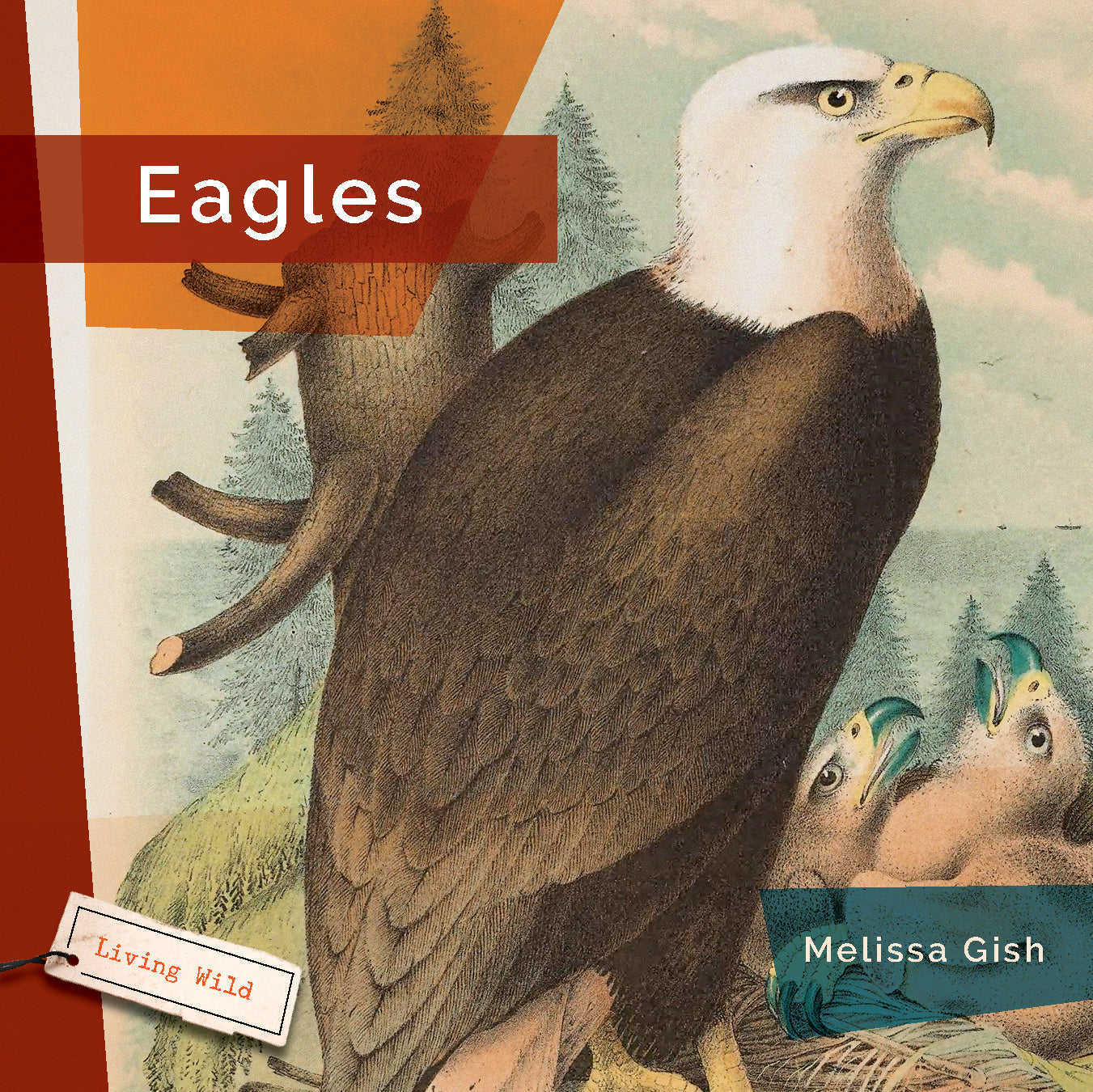 Eagles Book 9781640265240 - Wildlife Nature Photography & Bird Watching Guide for Outdoor Enthusiasts