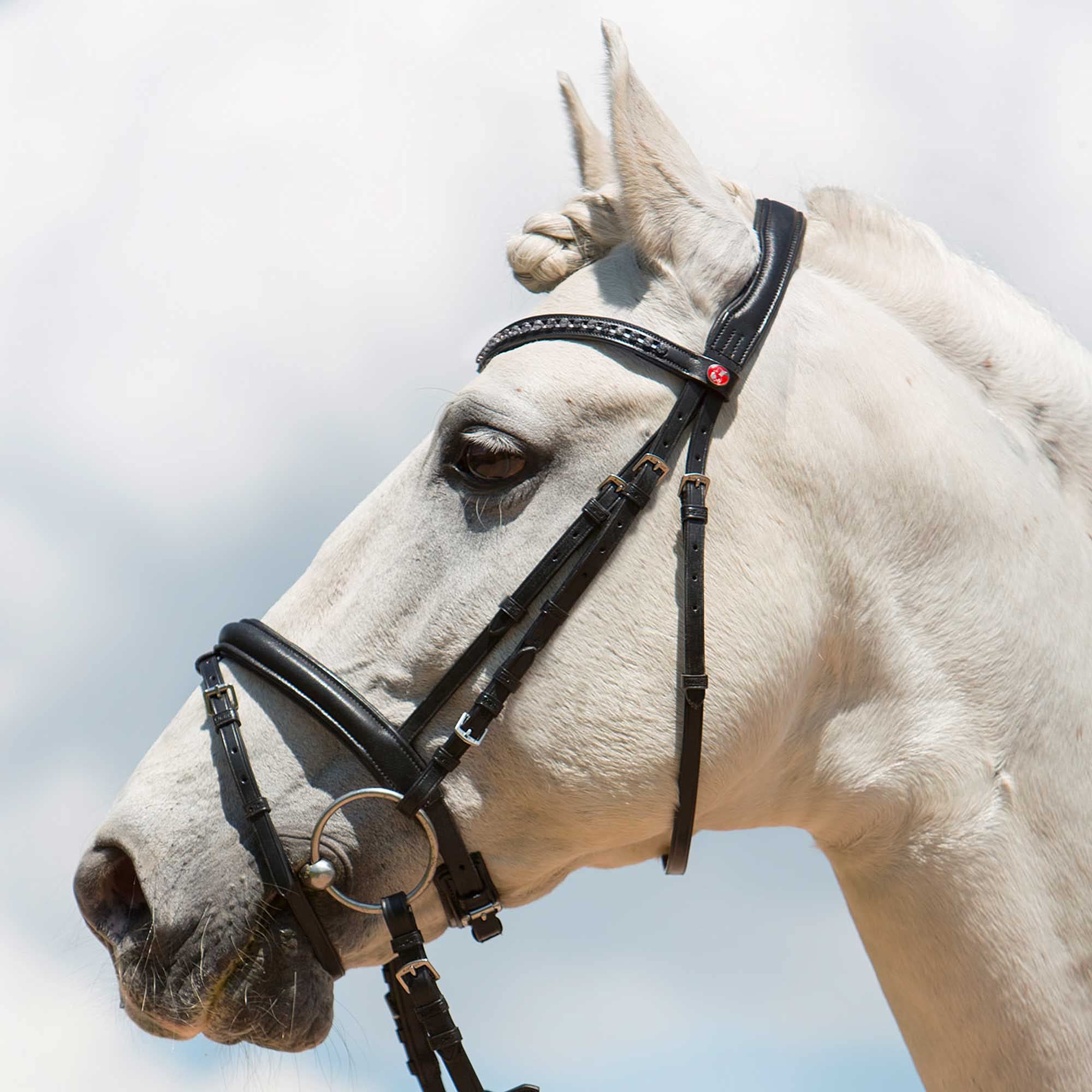 Kieffer Ultrasoft Fashion Snaffle Bridle - Adjustable Comfort Fit for Horses | Black, Brown & More Colors | Multiple Sizes | Perfect for Dressage, Training & Show Jumping