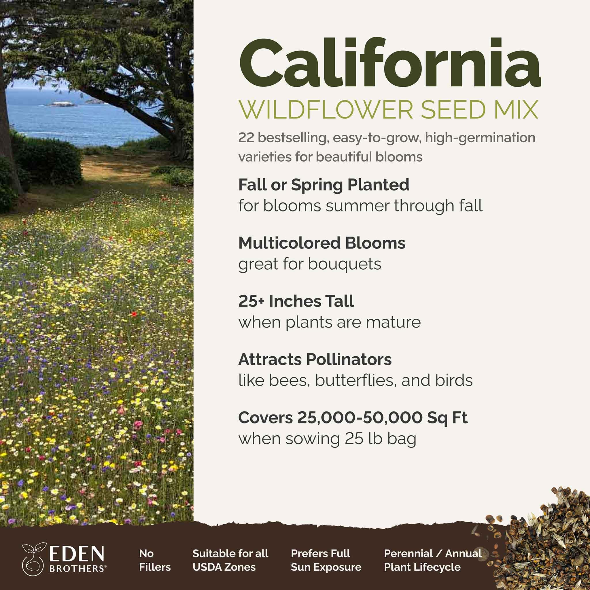 Eden Brothers California Wildflower Seeds Mix - 25 lb Bulk (12,000,000+ Seeds) with Black Eyed Susan & Shasta Daisy - Attracts Pollinators - Planting Guide for Spring/Fall - USDA Zones 3-10 - Perfect for Meadows, Gardens & Landscaping Projects