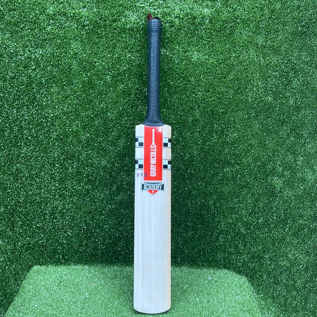 Gray Nicolls Gem 2.0 Academy Junior/Youth Cricket Bat - English Willow - Perfect for Training & Matches