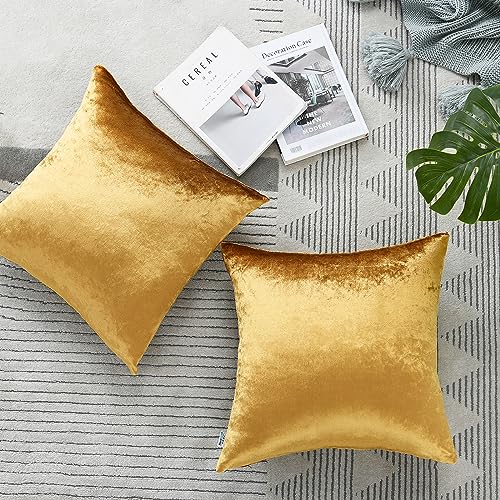 Gold/ Velvet