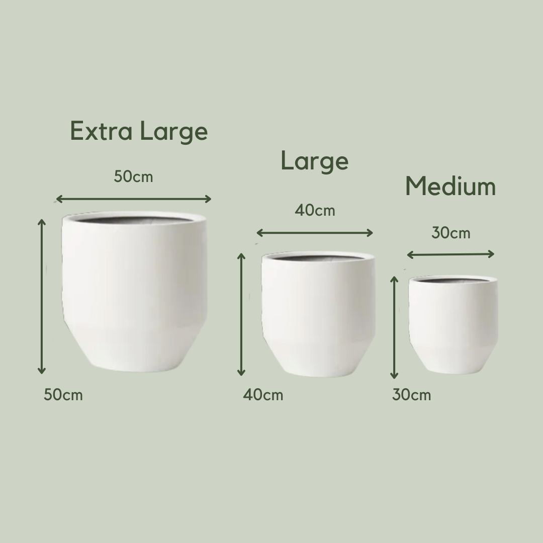 Lightweight Avery Pot - White Ceramic Planter | Medium Size for Indoor Plants | Perfect for Home, Office & Garden Decor