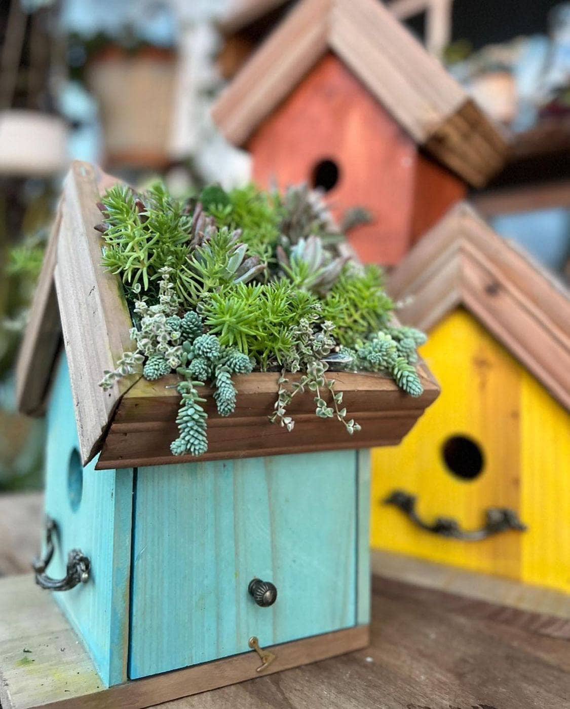 Eco-Friendly Blue Amber Plantable Birdhouses for Garden & Outdoor Decor - Attract Birds & Grow Wildflowers