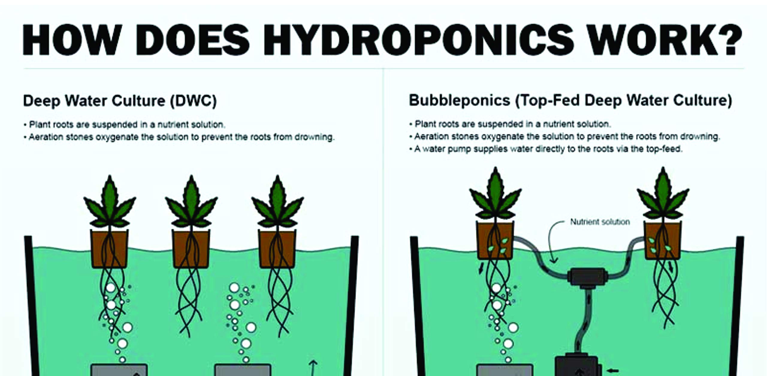 Atwater Hydropod 5 Gallon DWC Deep Water Culture System Kit - Bubble Bucket Hydroponic Garden for Indoor Plants - Perfect for Lettuce, Herbs & Vegetables Growing Without Nutrients
