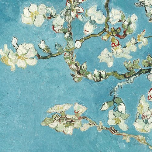 blossom
