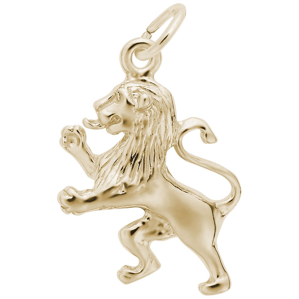 Lion Charm Pendant for Bracelets & Necklaces - Elegant Jewelry for Women, Men, and Teens - Perfect for Gifts, Parties, and Everyday Wear