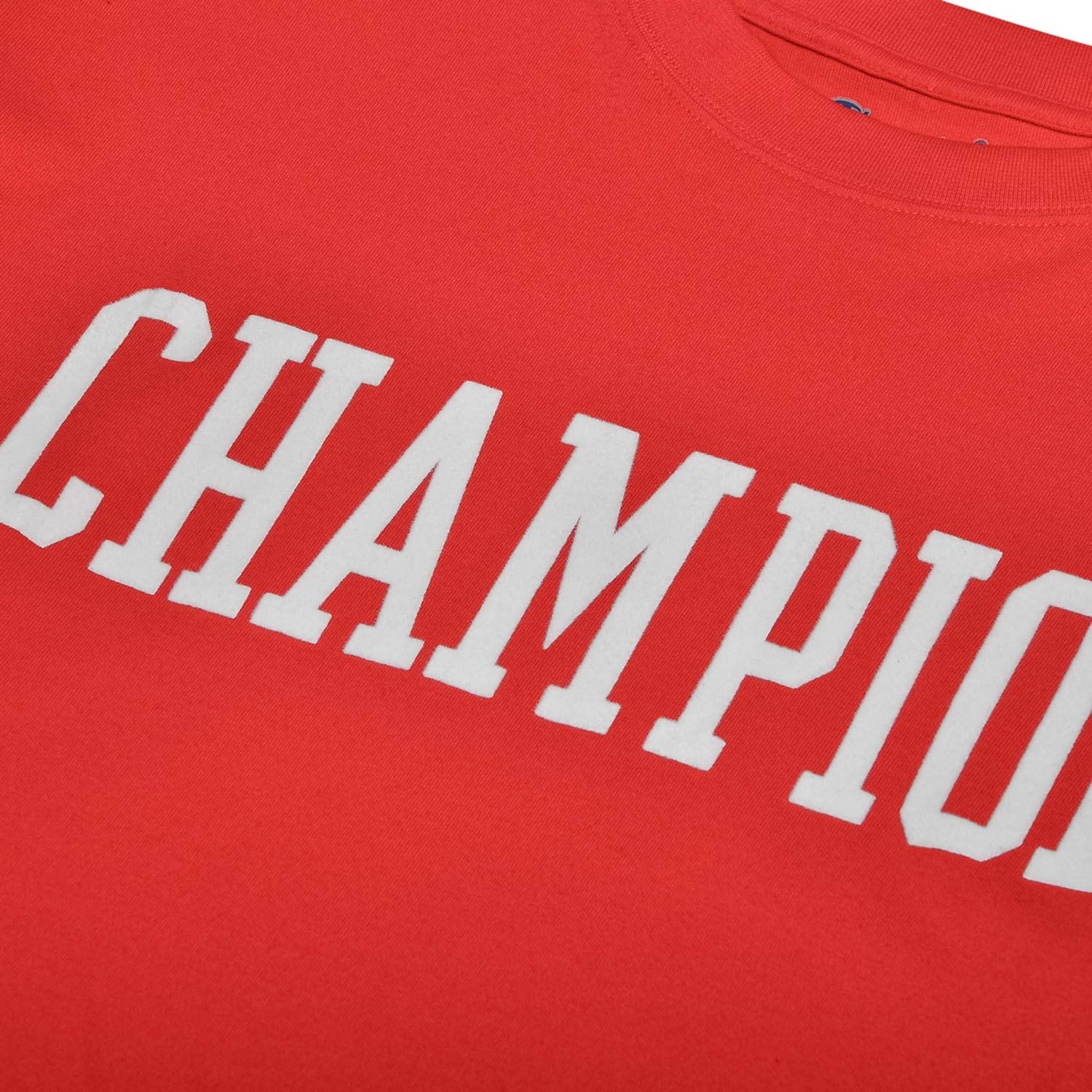 Champion Big and Tall Men's Short Sleeve Cotton Crewneck T-Shirt - Comfortable Casual Tee for Everyday Wear, Gym & Outdoor Activities