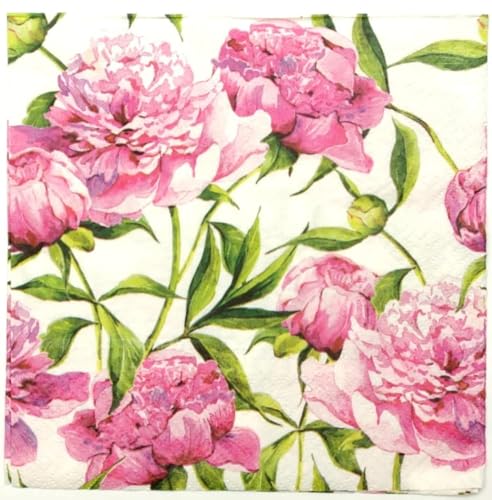 Pink Peony Flowers