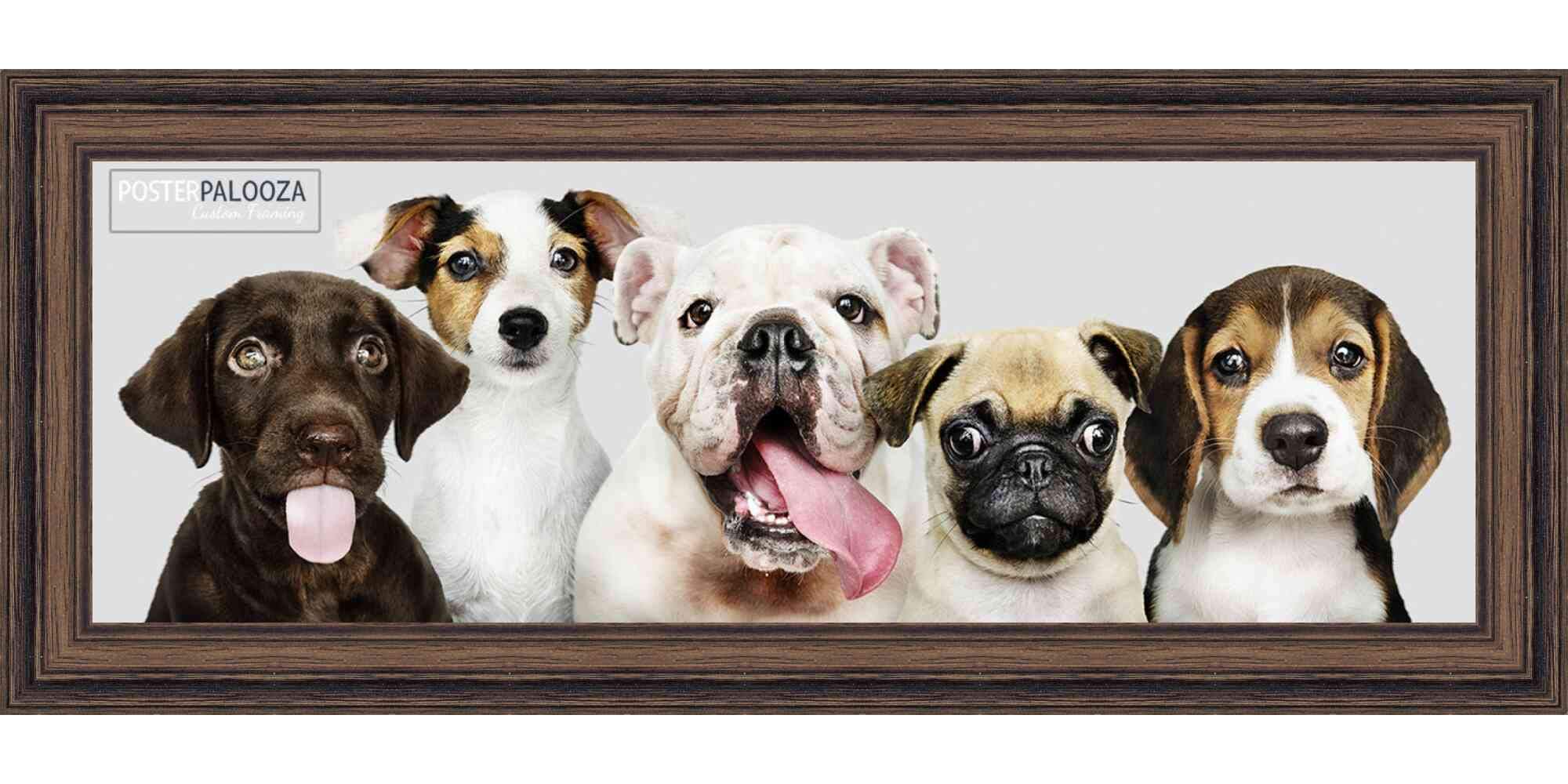 12x48 Rustic Walnut Wood Picture Frame - Solid Wood Panoramic Photo Frame with UV Acrylic, Foam Backing & Hanging Hardware - Perfect for Wall Art, Family Photos, and Large Poster Displays