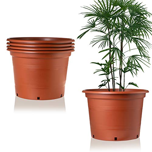 Terracotta