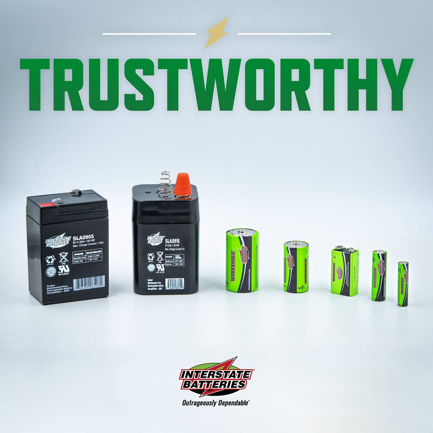 Interstate Batteries AAA Alkaline Batteries 24 Pack - 1.5V Long-Lasting High Performance Batteries for Toys, Remote Controls, Flashlights & Electronics (DRY0075) | Ideal for Home, Office & Emergency Use