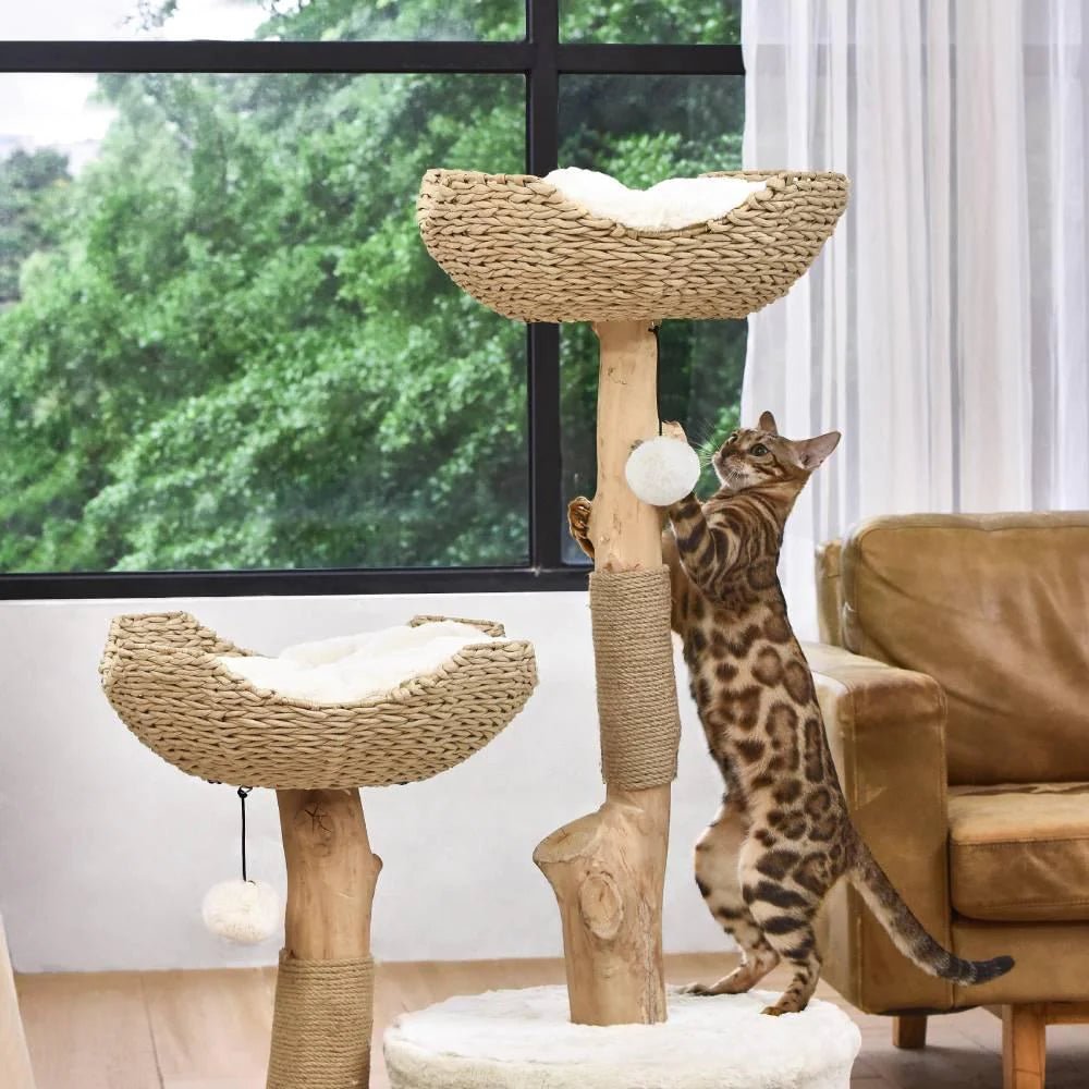Premium Real Wood Cat Tree for Large Cats - Sturdy & Stylish Climbing Perch for Indoor Play, Scratching & Lounging - Perfect for Living Rooms, Bedrooms & Home Offices