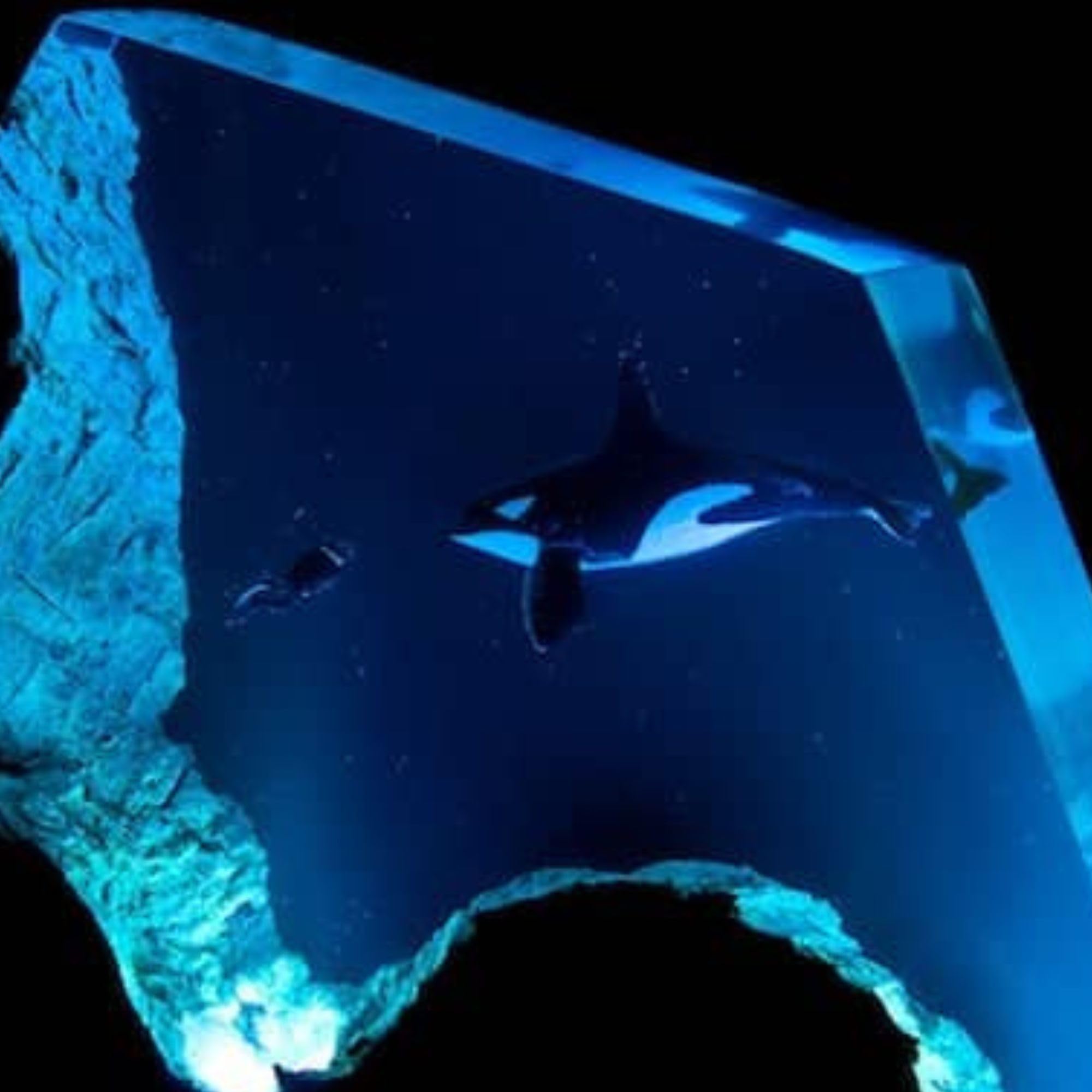 Handcrafted Orca & Diver Scuba Resin Wood Night Light - 8x8 Inch Ocean Theme Epoxy Lamp for Bedroom, Living Room Decor - Unique Whale Gift for Marine Lovers & Home Office Ambiance