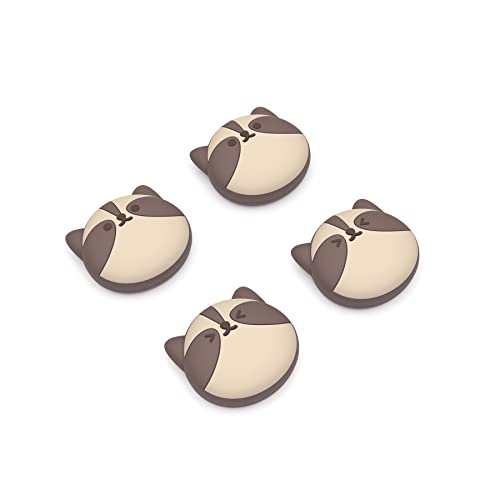 Kleiner Waschbär