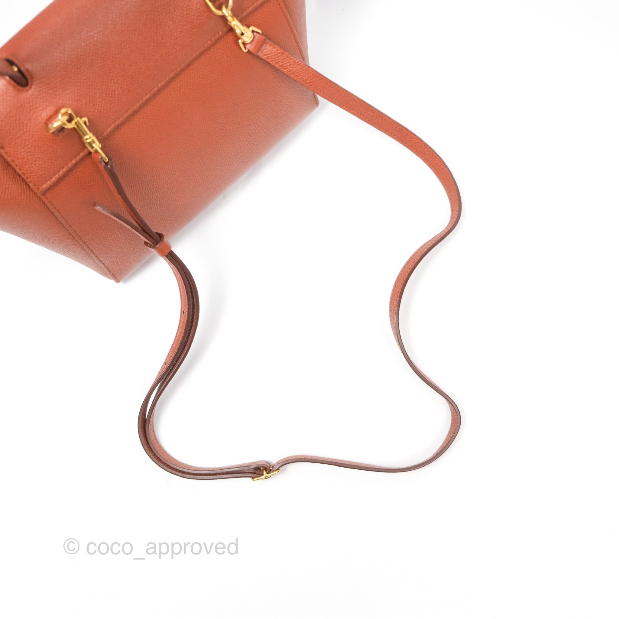 Celine Nano Belt Bag in Caramel Grained Calfskin with Gold Hardware - Perfect for Everyday Use, Work & Travel