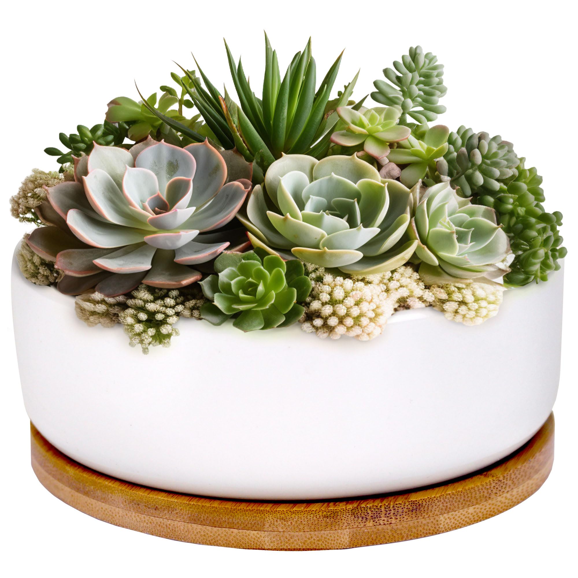 BambooMN White Ceramic Succulent Planter Pot with Bamboo Tray - 6.49 Inch Round Bowl Style - Perfect for Home Decor, Office Desk, and Indoor Plants