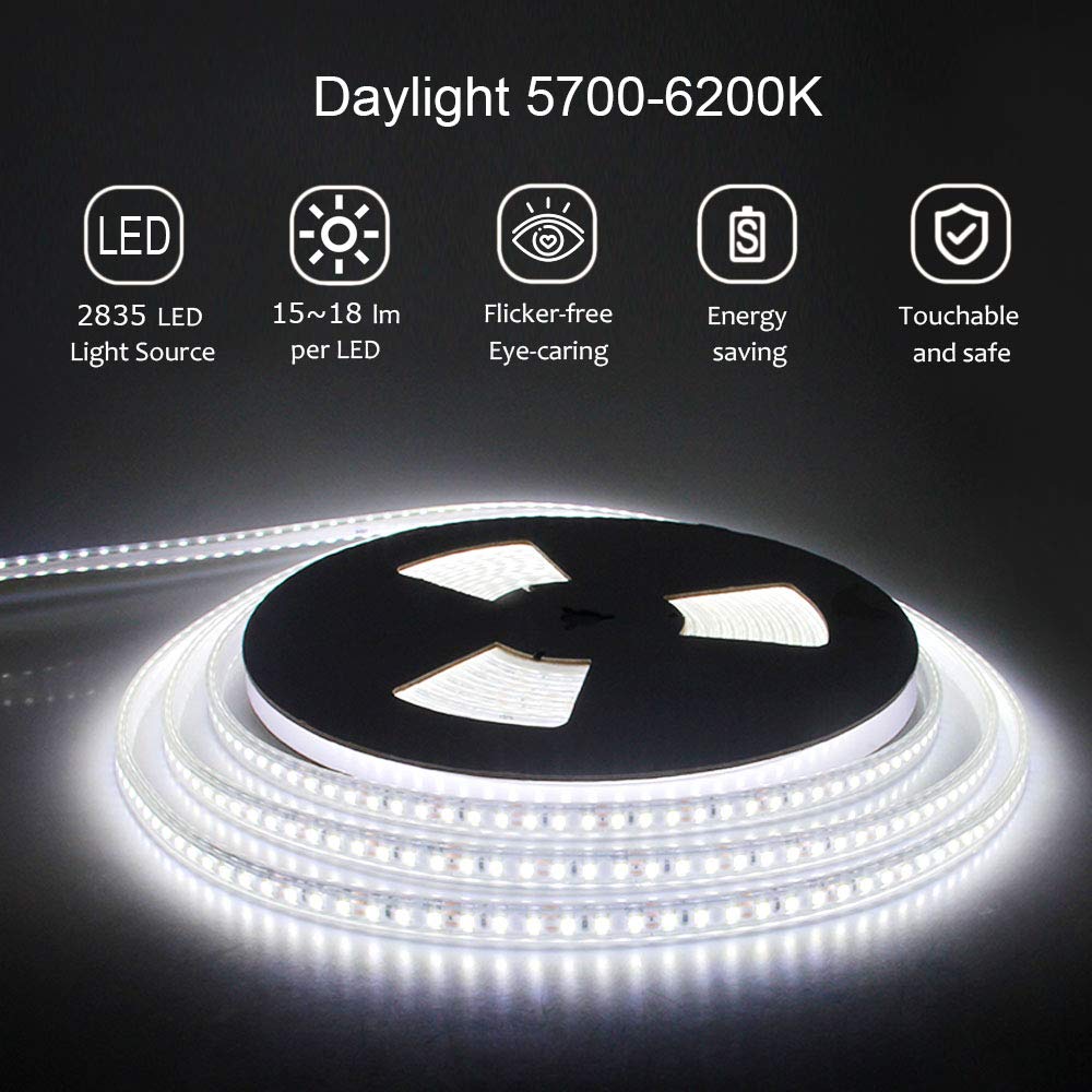 ALITOVE 24V Waterproof LED Strip Lights 32.8ft 1200 LEDs 2835 SMD Cool White 6000K Ultra Bright Flexible Ribbon - Perfect for Outdoor, Kitchen, Garden, Under-Cabinet & Backyard Lighting (No Power Supply & Adhesive Included)