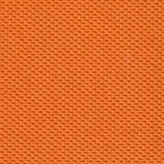 Tangerine Fabric